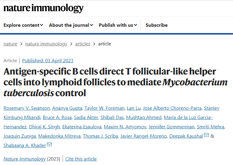 芝加哥大學(xué)和圣路易斯華盛頓大學(xué)的科學(xué)家們表明免疫細胞B細胞在免疫過程中的作用