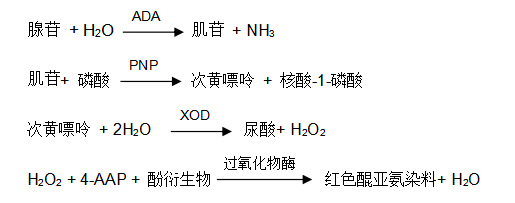 腺苷脫氨酶（ADA）過(guò)氧化物酶法檢測(cè)原理