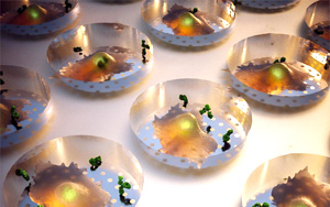 Nature子刊：實(shí)時(shí)蛋白質(zhì)分泌檢測(cè)技術(shù)