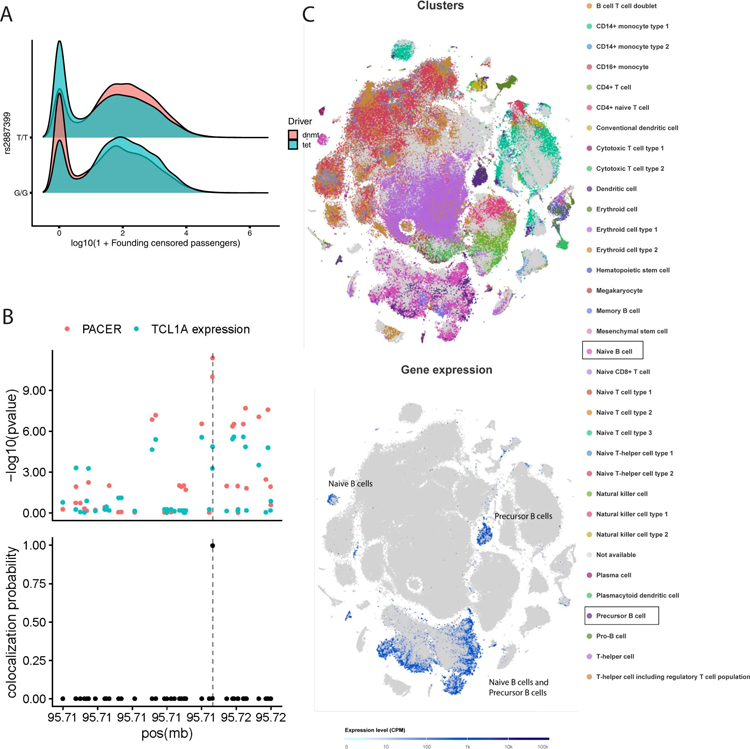 GWAS顯示rs2887399是克隆擴增速率的調(diào)節(jié)劑