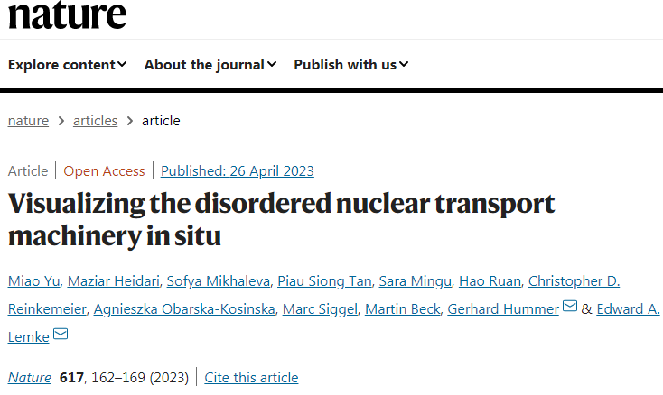 科學(xué)家們發(fā)現(xiàn)毛孔中心的內(nèi)在無序蛋白質(zhì)是如何形成移動屏障