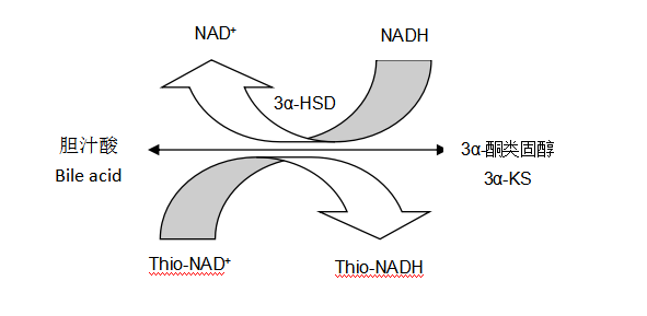 總膽汁酸（TBA）檢測原理