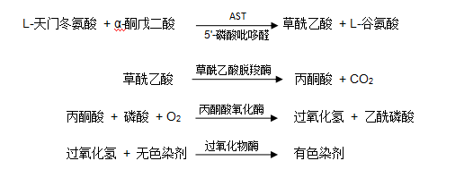 谷草轉(zhuǎn)氨酶（AST/GOT）檢測原理