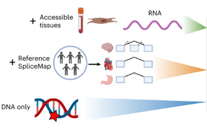 Nature Genetics：人類組織的異常剪接預測