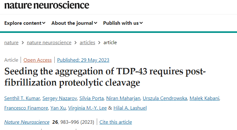 科學(xué)家們重現(xiàn)了在患有盧伽雷氏病和其他神經(jīng)系統(tǒng)疾病的患者大腦中發(fā)現(xiàn)的病理蛋白聚集體的關(guān)鍵特征