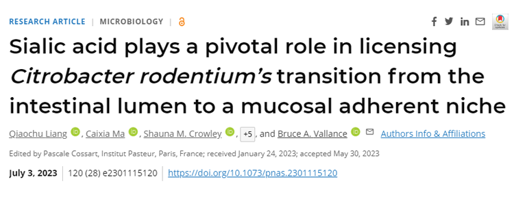 研究表明，腸道細(xì)菌感染和一系列與腸道細(xì)菌有關(guān)的慢性疾病都有可能成為治療目標(biāo)