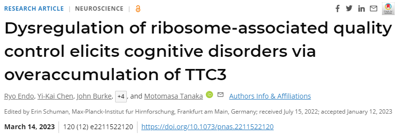 研究人員首次明確了細(xì)胞中蛋白質(zhì)合成過程中的質(zhì)量控制與神經(jīng)系統(tǒng)疾病之間的聯(lián)系