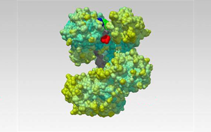 Nature解開(kāi)一種蛋白質(zhì)，研發(fā)一種新的生物技術(shù)工具