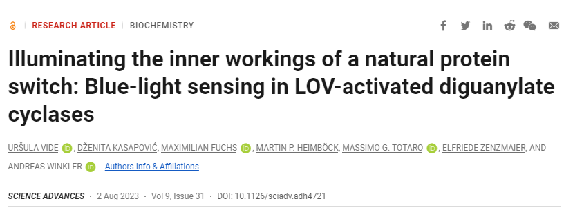 研究發(fā)現(xiàn)二胍酸環(huán)化酶蛋白調(diào)節(jié)了一種控制細(xì)菌生存方式的中心信使物質(zhì)的產(chǎn)生