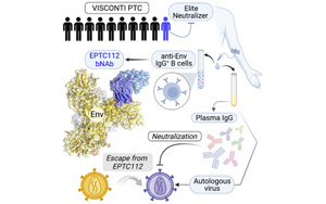 Cell子刊：首次發(fā)現(xiàn)一個(gè)針對(duì)HIV-1包膜蛋白的廣泛中和抗體