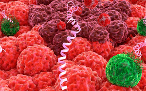 養(yǎng)殖業(yè)“替抗”破局利刃？--抑菌肽