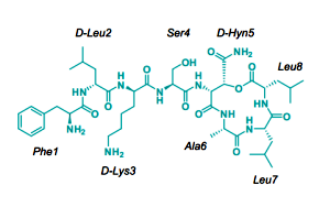 突破！可殺死耐藥菌的新型抗生素