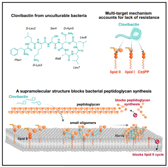 機(jī)理模式圖）