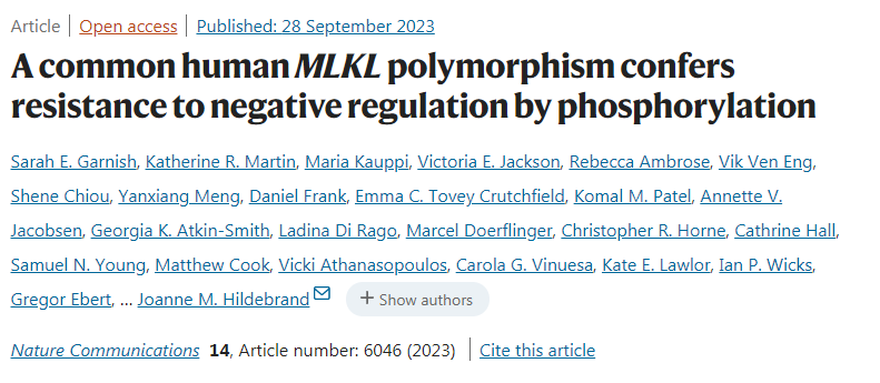 一種常見的人類多態(tài)MLKL通過磷酸化賦予負面調(diào)控抗性