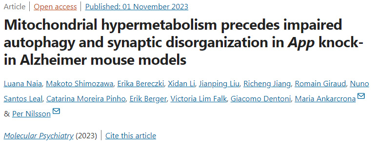 腸道細菌產(chǎn)生的短鏈脂肪酸(SCFAs)負責(zé)啟動樹突細胞向腸腔延伸