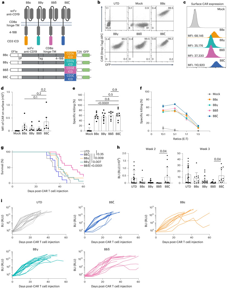 含有CD3δ/ε/γICD的CAR優(yōu)于含有ζ的CAR