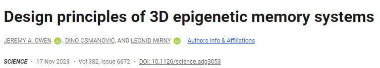 三維表觀遺傳記憶系統(tǒng)的設(shè)計(jì)原理