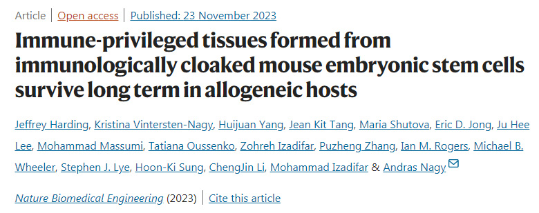 免疫隱形小鼠胚胎干細(xì)胞形成的免疫特權(quán)組織在異基因宿主中長期存活