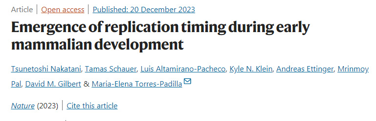 哺乳動(dòng)物早期發(fā)育過程中復(fù)制時(shí)機(jī)的出現(xiàn)