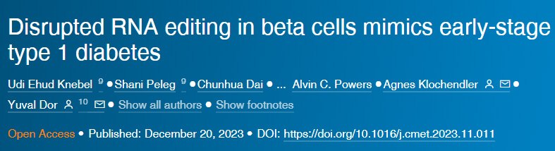 β細胞中斷的RNA編輯模擬早期1型糖尿病