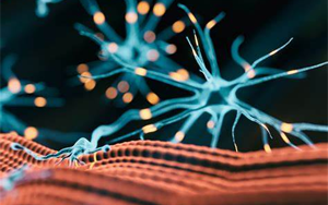 研究發(fā)現(xiàn)，鈣通道阻滯劑是逆轉(zhuǎn)肌強直性營養(yǎng)不良肌肉無力的關(guān)鍵