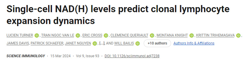 單細(xì)胞NAD（H）水平預(yù)測克隆性淋巴細(xì)胞擴(kuò)增動力學(xué)