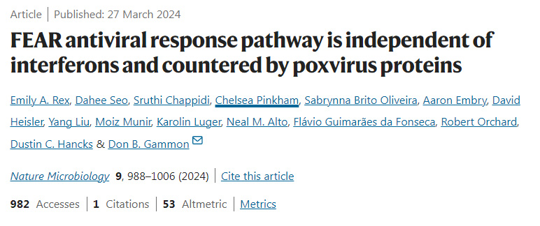 FEAR抗病毒反應(yīng)途徑獨(dú)立于干擾素，并由痘病毒蛋白對(duì)抗