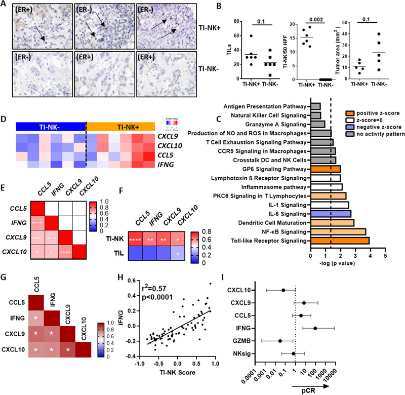 CCL5/IFNG-CXCL9/10軸、TI-NK細(xì)胞標(biāo)記和抗HER2抗體新型輔助治療的反應(yīng)相關(guān)性