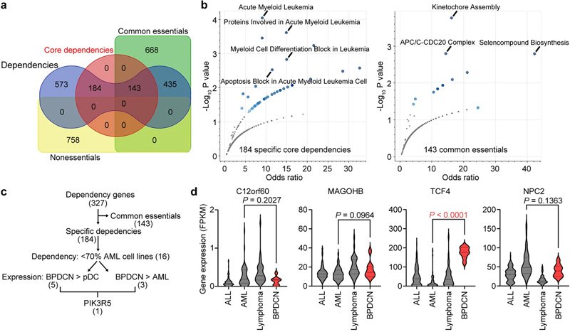 PIK3R5的表達(dá)在包括BPDCN的白血病亞群中顯著升高