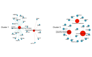 蛋白質組學研究發(fā)現(xiàn)重癥COVID-19的血漿標志物
