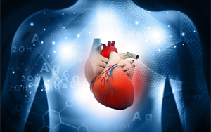 阻斷CDK7蛋白可以防止與癌癥治療相關的心臟損傷