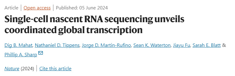 單細(xì)胞新生RNA測(cè)序揭示協(xié)調(diào)的全球轉(zhuǎn)錄