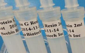 西寶生物 rProtein G SeePUR重組蛋白G親和層析預(yù)裝柱/填料系列產(chǎn)品-用于抗體純化！