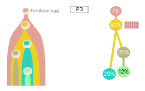 Nature Biotechnology：精確測量癌癥的進(jìn)化，定義分析腫瘤基因組成的最佳算法