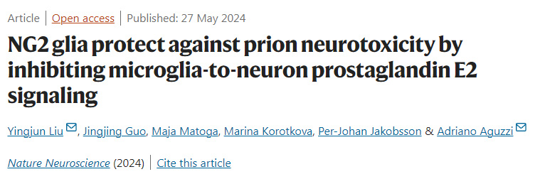 NLRC5感知NAD+損耗形成泛視小體并驅(qū)動泛視癥和炎癥