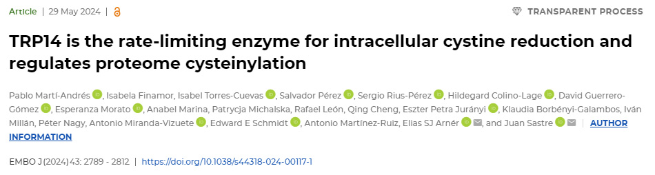 TRP14是細(xì)胞內(nèi)胱氨酸減少的限速酶，并調(diào)節(jié)蛋白質(zhì)組半胱氨酸化