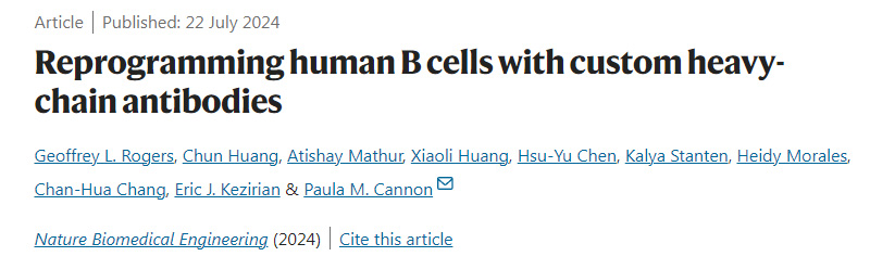 用定制的重鏈抗體重新編程人類B細胞