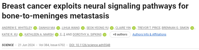 乳腺癌利用神經(jīng)信號通路進行骨轉(zhuǎn)移