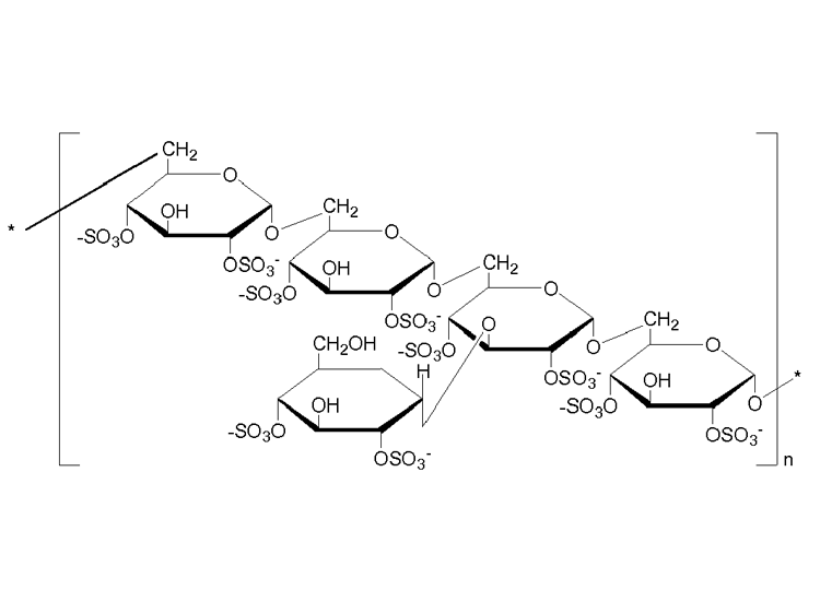 硫酸葡聚糖鈉 500,000（DSS）