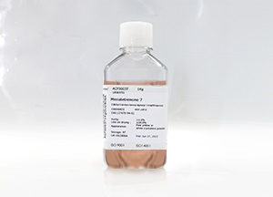 SeeHEK293CD01基礎(chǔ)培養(yǎng)基(液體)