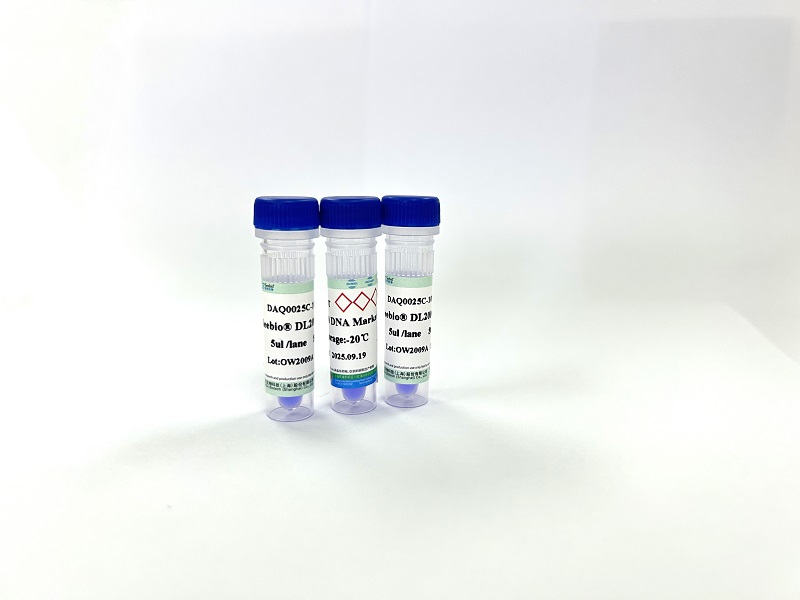 Seebio? DL2000 DNA Marker