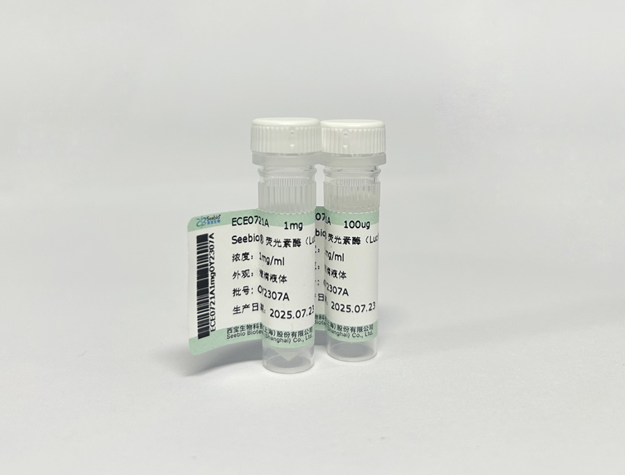 Seebio? 熒光素酶（Luciferase）