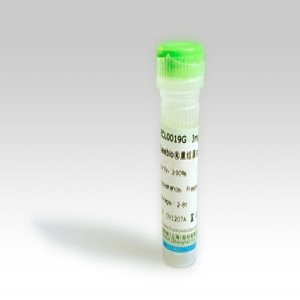 Seebio? 重組蛋白A（rProtein A，ZZZ-HS型）