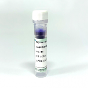 Seebio?非預染低分子量蛋白質(zhì)分子量標準，3.1~41?kDa